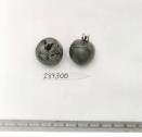 Click for 1 image(s) for this accession. FRUIT